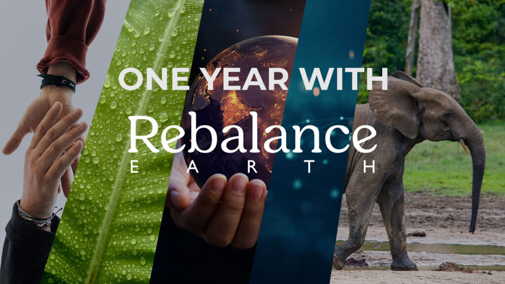 One Year with Rebalance Earth