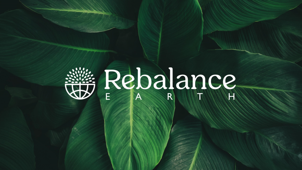Rebalance-Earth-Social-Media