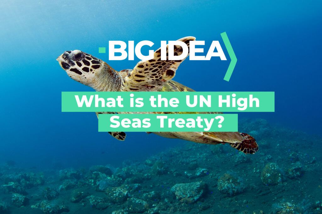 What is the UN High Seas Treaty?